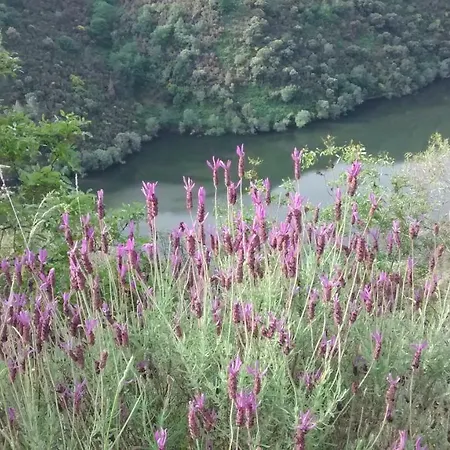 Casa Do Peso 펜션 몬포르테데레모스