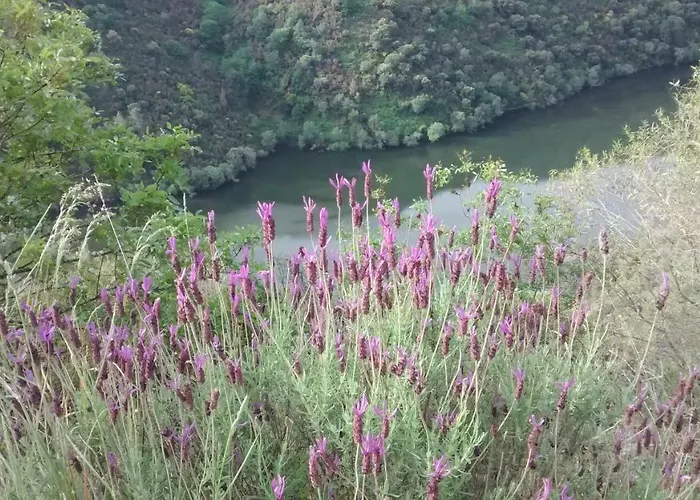 Casa Do Peso Tatil Evi Monforte De Lemos